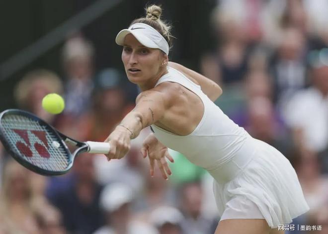 不仅仅局限 不仅仅局限