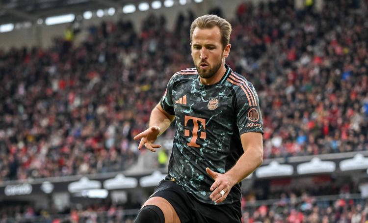 体现教练组 体现教练组